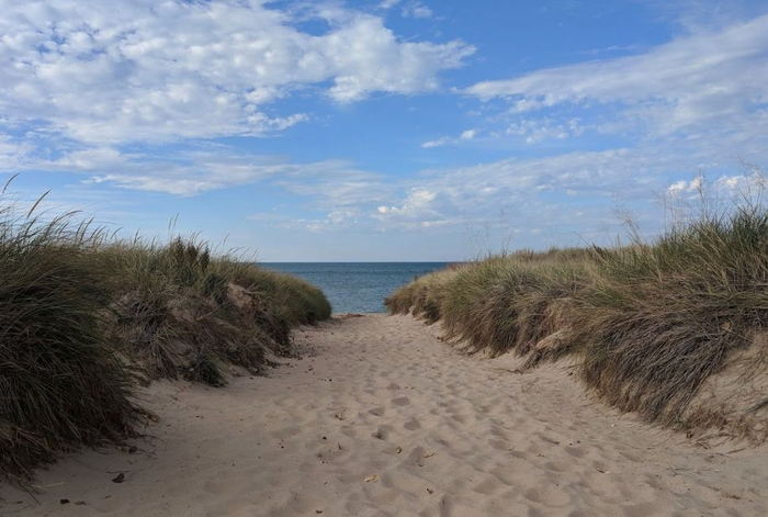 Warren Dunes State Park - 2023 Recent Photo From Website (newer photo)